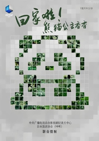 回家啦!熊猫公主香香