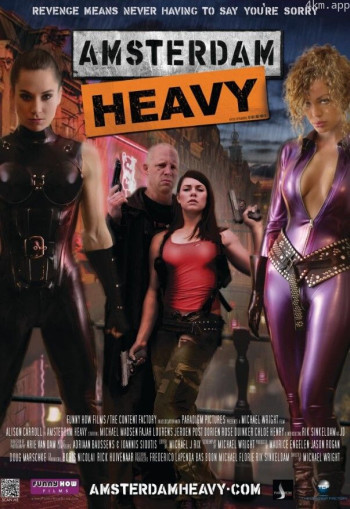 阿姆斯特丹恶棍