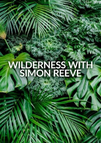 西蒙·里夫的荒野