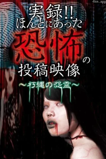 怨霊映像105 熱篇