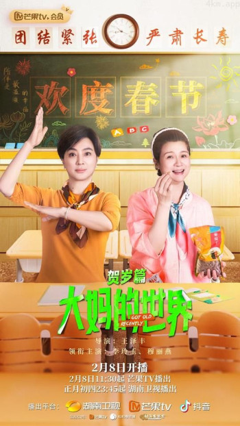大妈的世界 贺岁篇