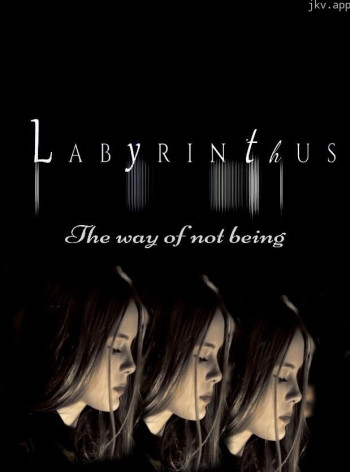 迷宫：不存在之道