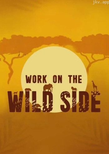 野生大营救 第一季