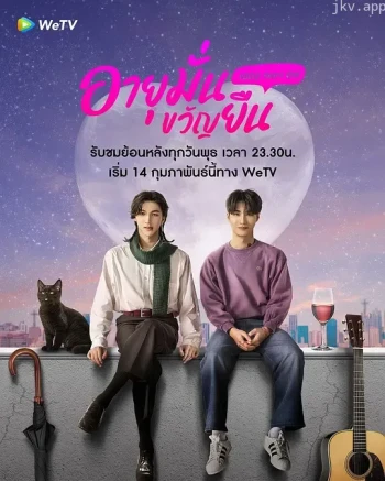 关于我和吸血鬼相爱的那件事