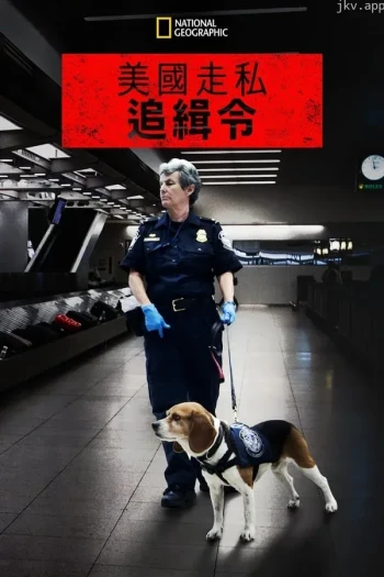 缉私档案 第三季