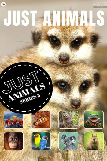 只是动物 第一季