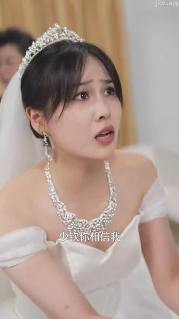 傅总,夫人她是冤枉的