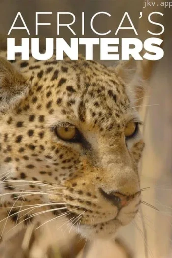 非洲猎手们 第二季
