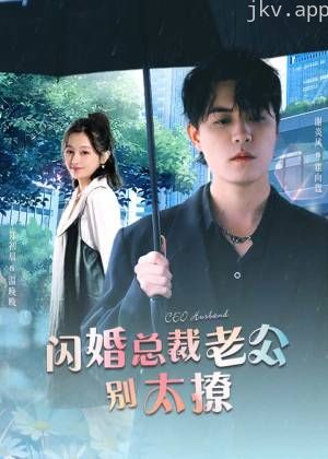 闪婚总裁老公别太撩