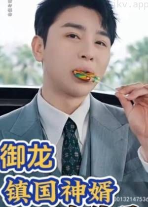 镇国神婿(御龙)