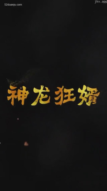神龙狂婿