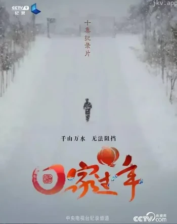 回家过年 第一季