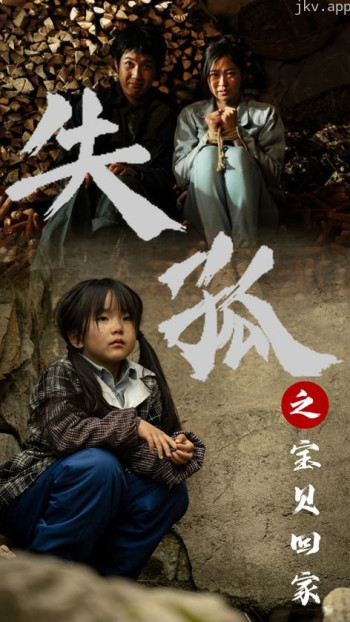 失孤之宝贝回家