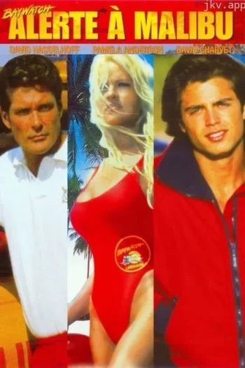 海滩救护队 第五季