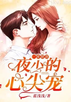 夜少的心尖宠