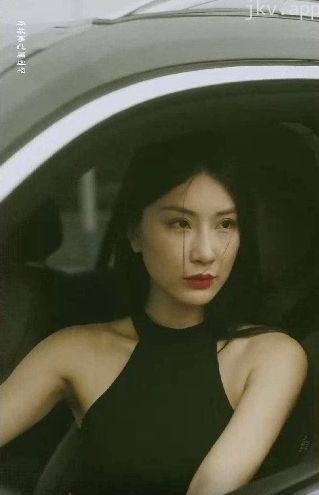 特工凤凰(绝色特工)