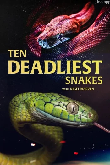 十大毒蛇 第一季