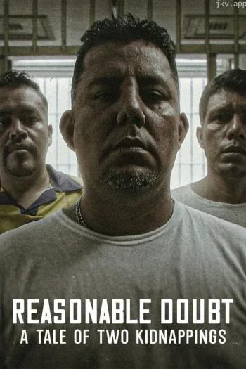 合理怀疑：两宗绑架案