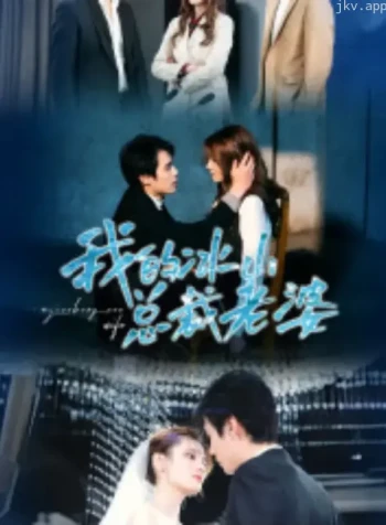 我的冰山总裁老婆