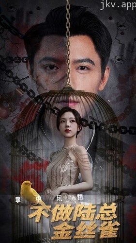 掌中玩物不做陆总金丝雀