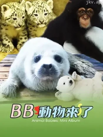 动物宝宝 迷你特辑