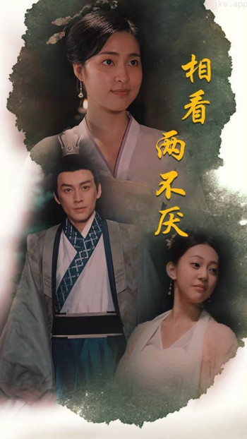 相看两不厌(这个王妃不好惹)