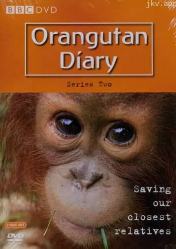 BBC.猩猩日记 第二季