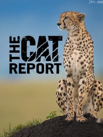 大猫日记 未剪辑版