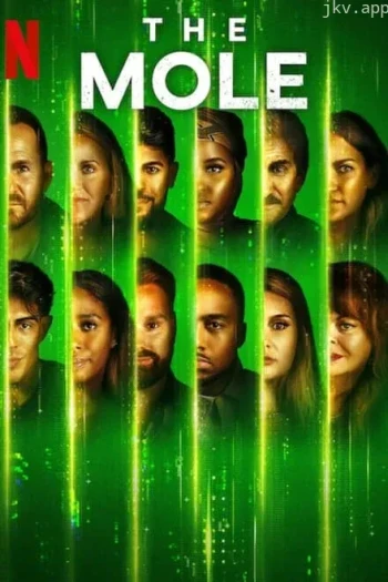 谁是内鬼 第二季