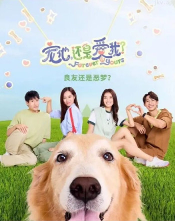 宠他，还是爱我？