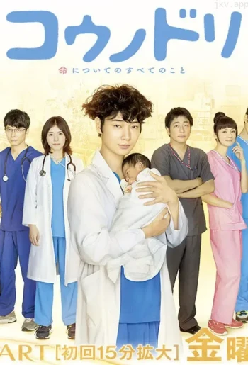 产科医鸿鸟 第一季