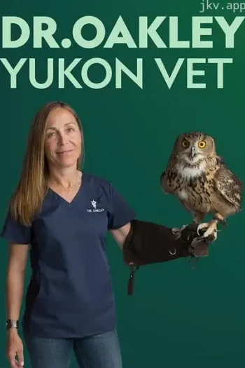 育空兽医 第一季