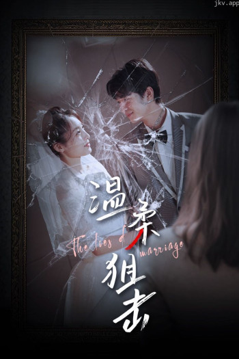 温柔狙击（婚姻迷雾）（婚姻的谎言）