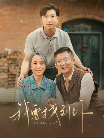 我要找到你(白首不分离)