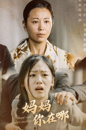 妈妈你在哪(春风不改旧时波)