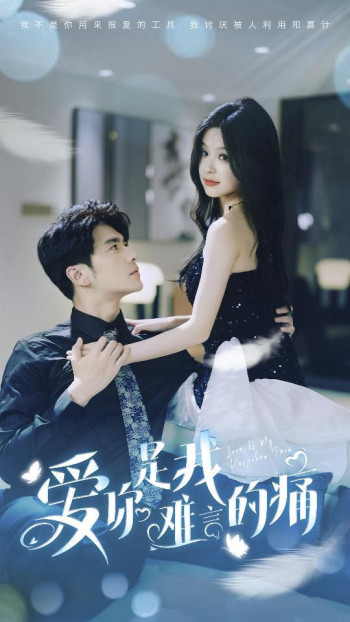 爱你是我难言的痛(对不起我爱你)