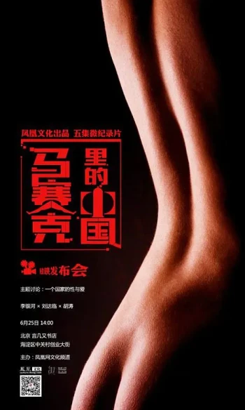 马赛克里的中国