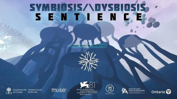 共生/\失调：知觉