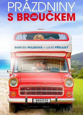 与布鲁克一起度假的四轮车