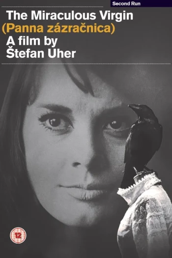 创造奇迹的女人