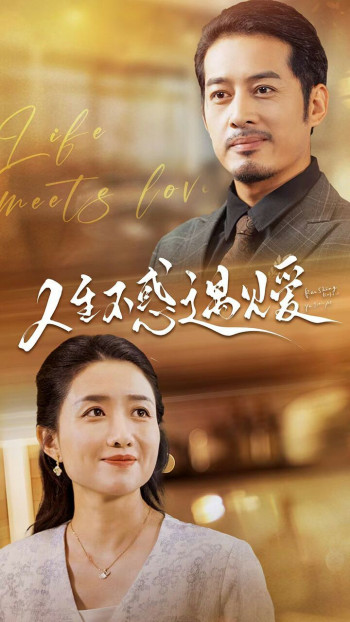 人生不惑遇见爱(中年闪婚老伴竟是全国首富)