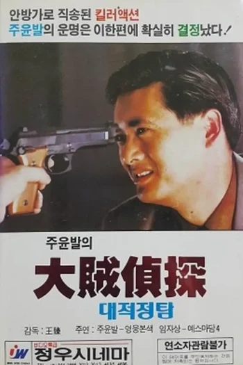 懵女大贼傻侦探