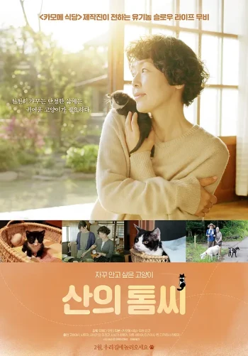 山中的汤姆先生