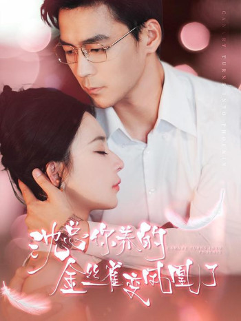 沈总，你养的金丝雀变凤凰了