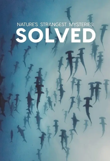 自然界最奇怪的谜题