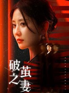 破茧之妻(婚姻的救赎)