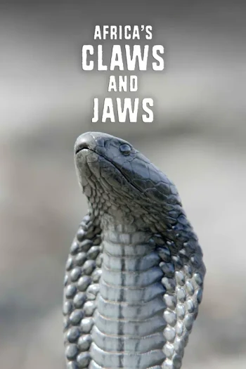 非洲动物的致命武器 第一季