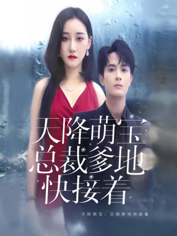 天降萌宝:总裁爹地快接着