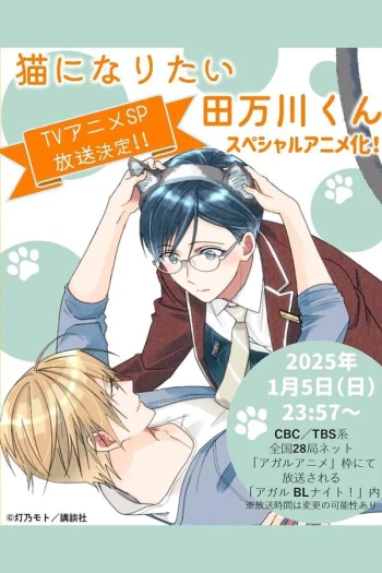 想变成猫的田万川君