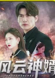 风云神婿